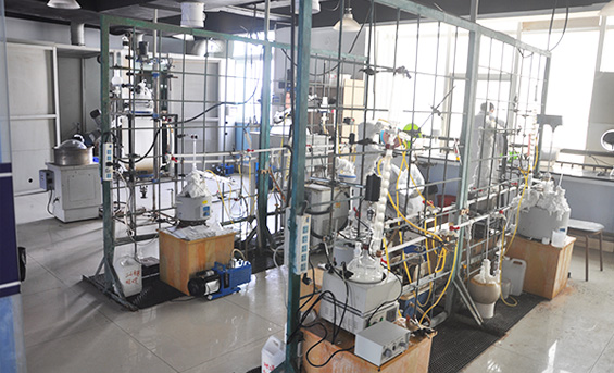 上海哲華化工材料有限公司實驗室內景